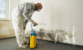 Why You Should Choose Our Mold Remediation Services in Friars Point, MS